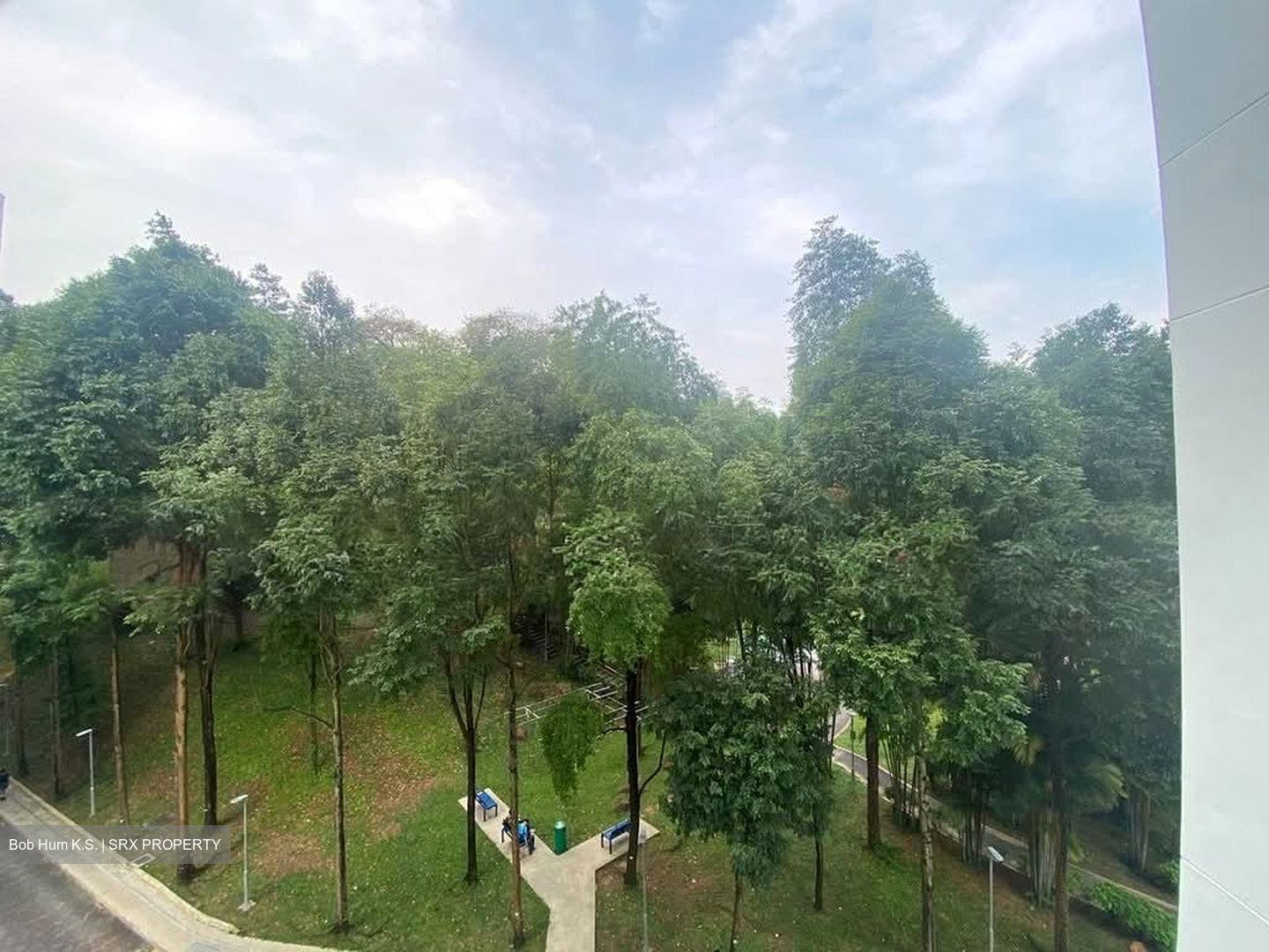 Blk 540 Panshan Grove (Bukit Panjang), HDB 5 Rooms #588664791